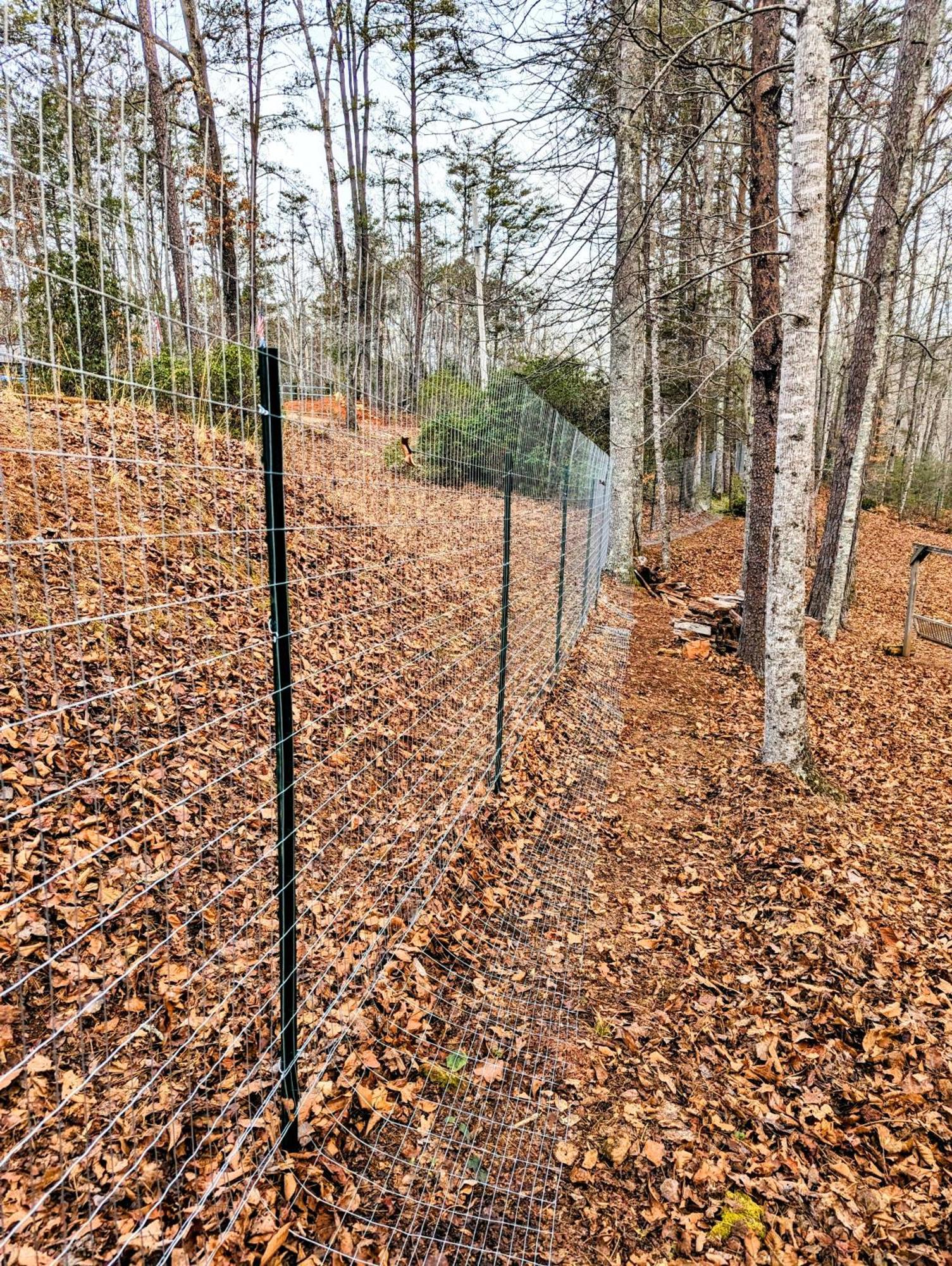 Hidden Hollow Bed And Breakfast Otto Extérieur photo